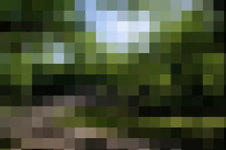 Heemraadssingel 261 C Rotterdam thumbnail 21