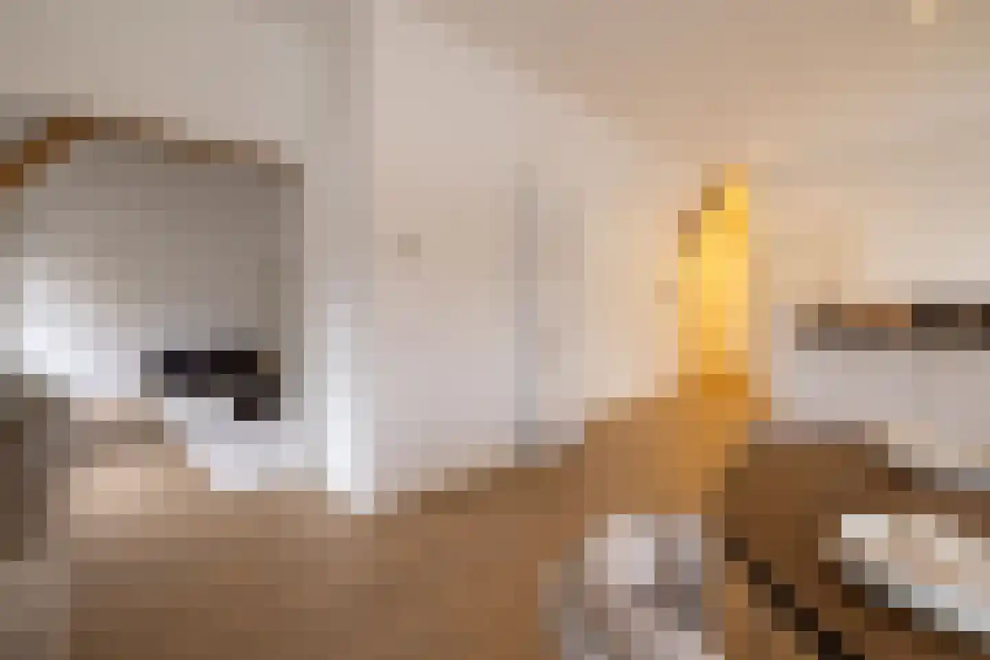 Heemraadssingel 261 D Rotterdam thumbnail 10