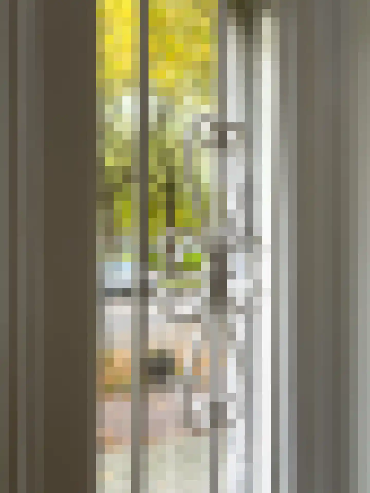 Heemraadssingel 261 D Rotterdam thumbnail 18
