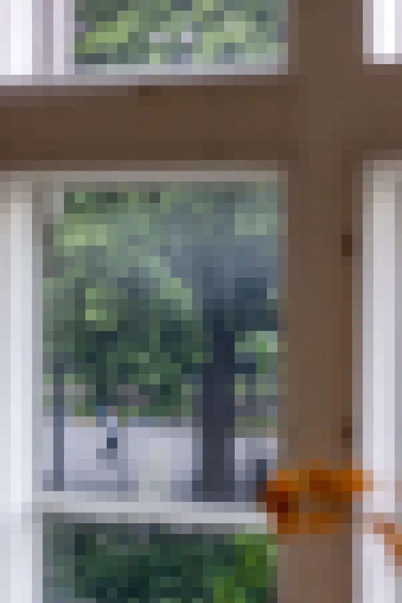 Heemraadssingel 261 D Rotterdam thumbnail 20