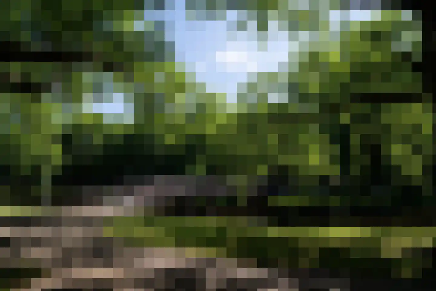 Heemraadssingel 261 D Rotterdam thumbnail 5