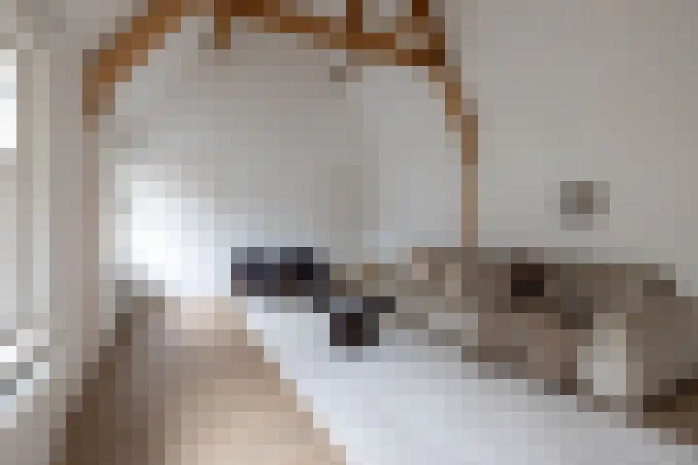 Heemraadssingel 261 D Rotterdam thumbnail 9