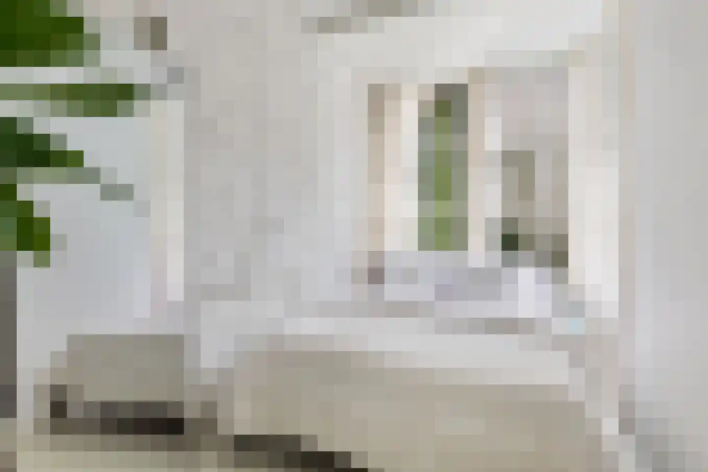 Heemraadssingel 266 A 01 Rotterdam thumbnail 22