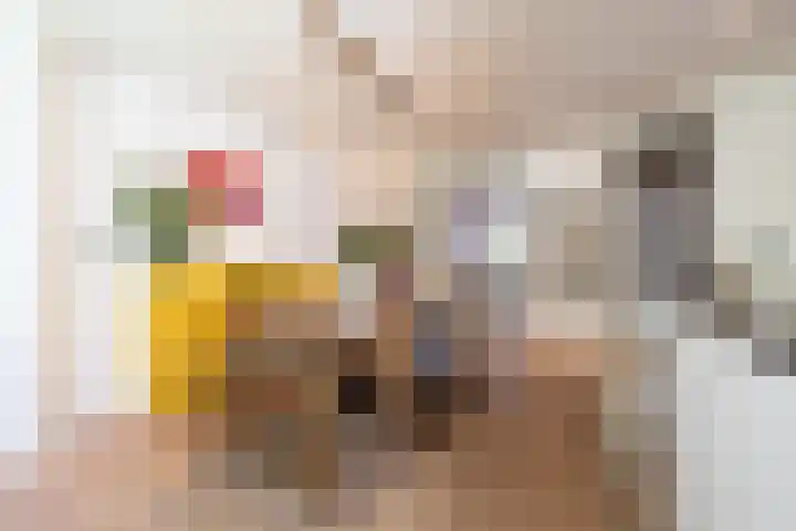 Heemraadssingel 268 A 02 Rotterdam thumbnail 22