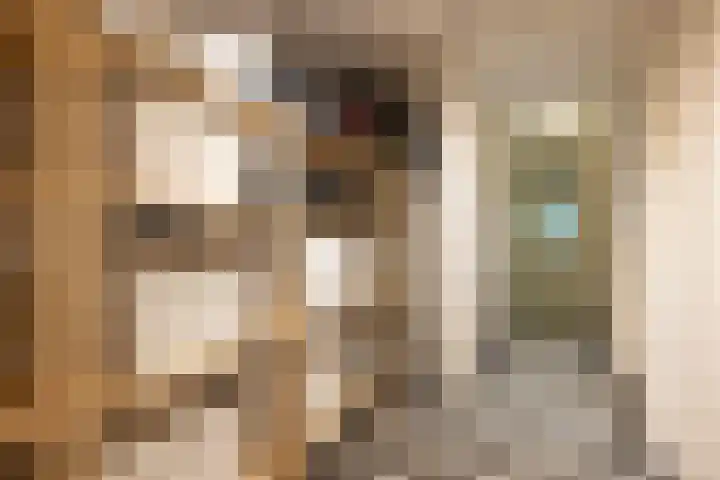 Heemraadssingel 268 A 02 Rotterdam thumbnail 32