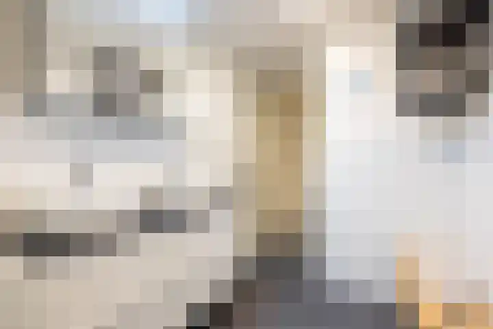 Heemraadssingel 268 A 02 Rotterdam thumbnail 35