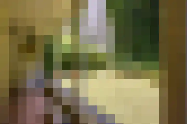 Heemraadssingel 268 A 02 Rotterdam thumbnail 38