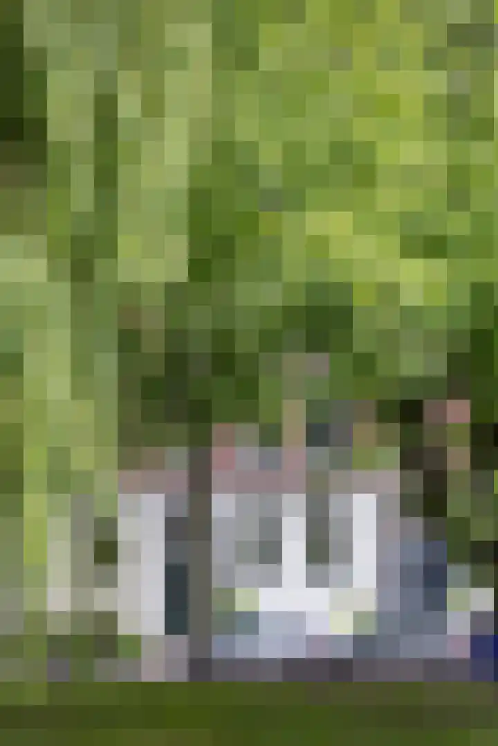 Heemraadssingel 268 A 02 Rotterdam thumbnail 47