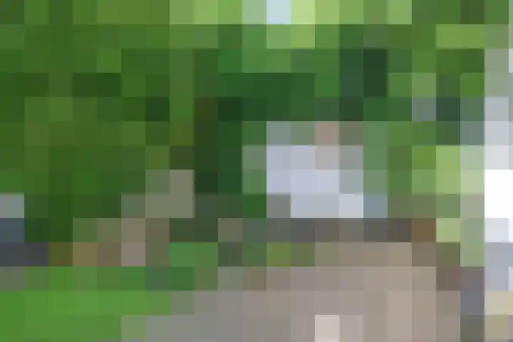 Heemraadssingel 269 Rotterdam thumbnail 22