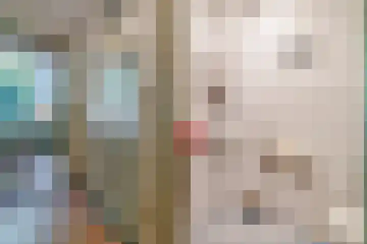Heemraadssingel 269 Rotterdam thumbnail 26