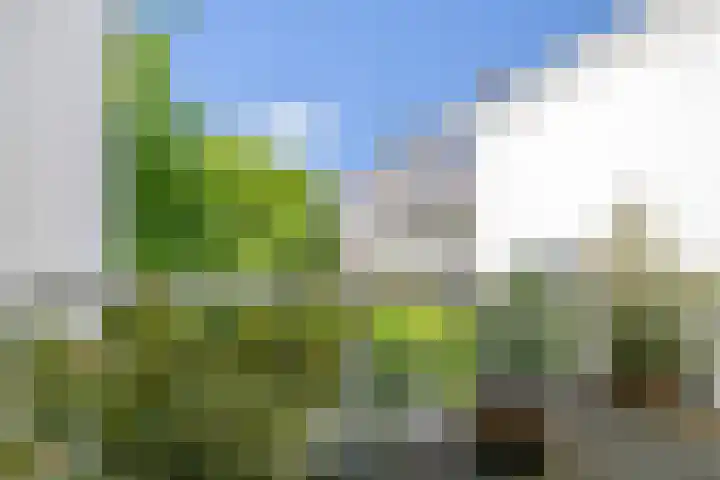 Heemraadssingel 269 Rotterdam thumbnail 36