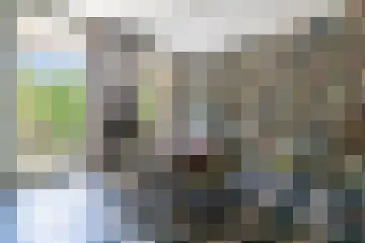 Heemraadssingel 269 Rotterdam thumbnail 40