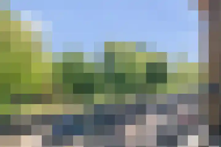 Heemraadssingel 269 Rotterdam thumbnail 43