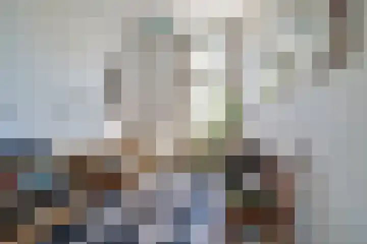 Heemraadssingel 269 Rotterdam thumbnail 47
