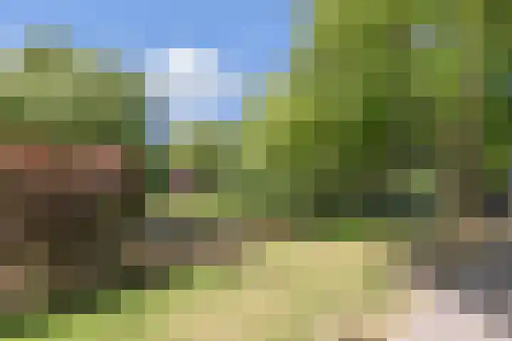 Heemraadssingel 269 Rotterdam thumbnail 49