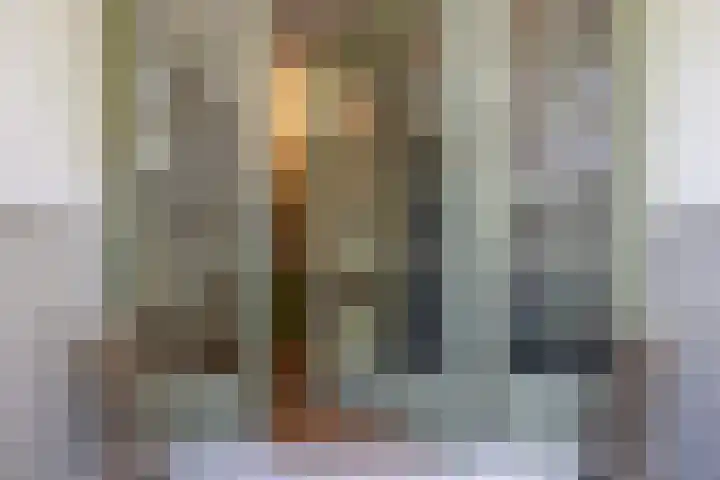 Heemraadssingel 269 Rotterdam thumbnail 5