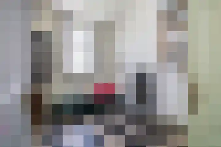 Heemraadssingel 269 Rotterdam thumbnail 51