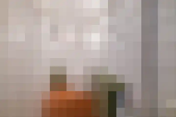 Heemraadssingel 269 Rotterdam thumbnail 54