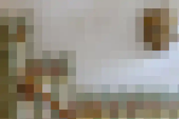 Heemraadssingel 269 Rotterdam thumbnail 7