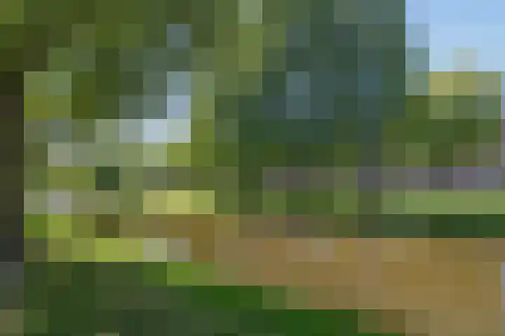 Heemraadssingel 269 Rotterdam thumbnail 73