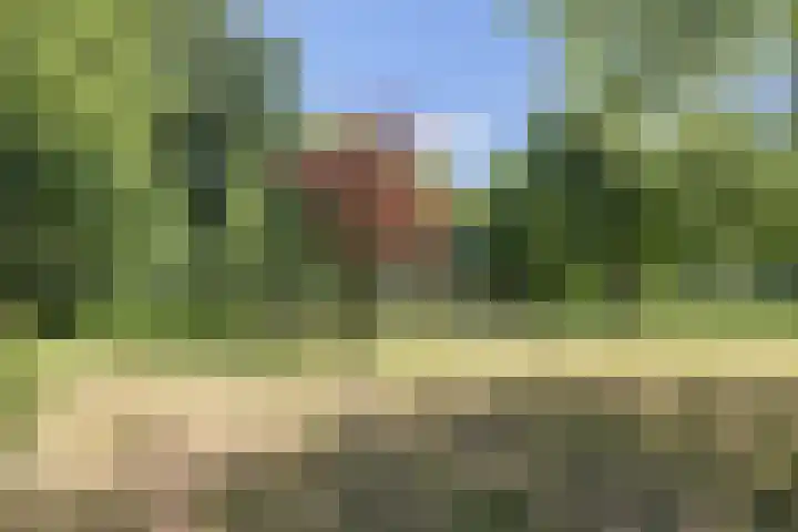 Heemraadssingel 269 Rotterdam thumbnail 74