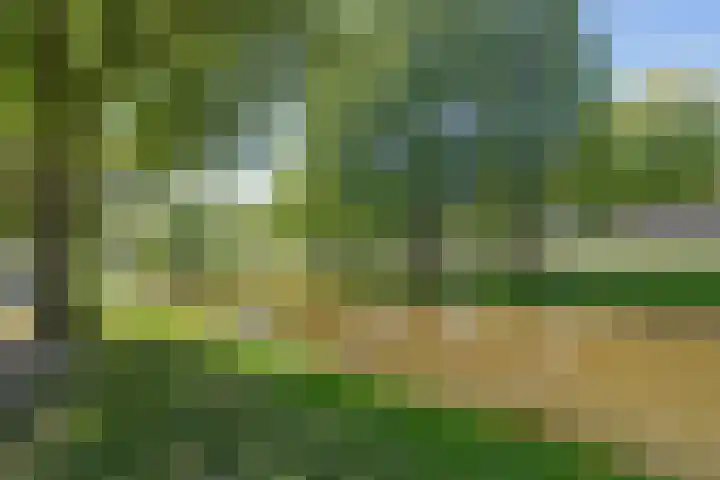 Heemraadssingel 269 Rotterdam thumbnail 75