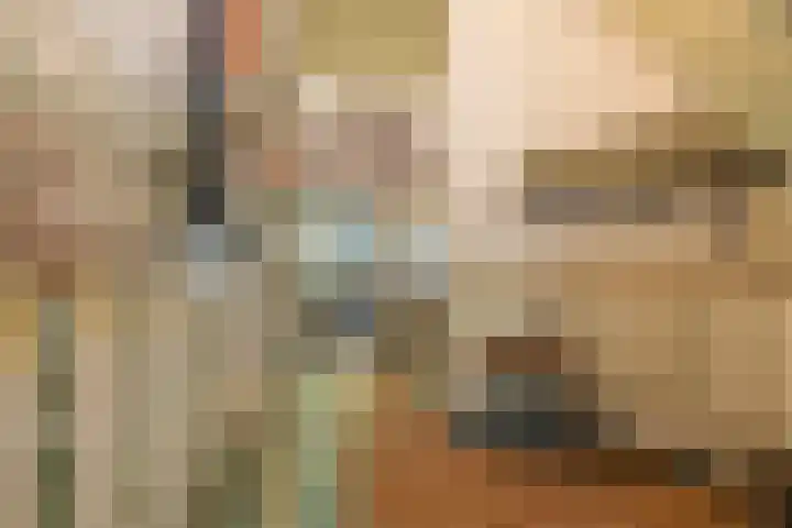 Heemraadssingel 269 Rotterdam thumbnail 8