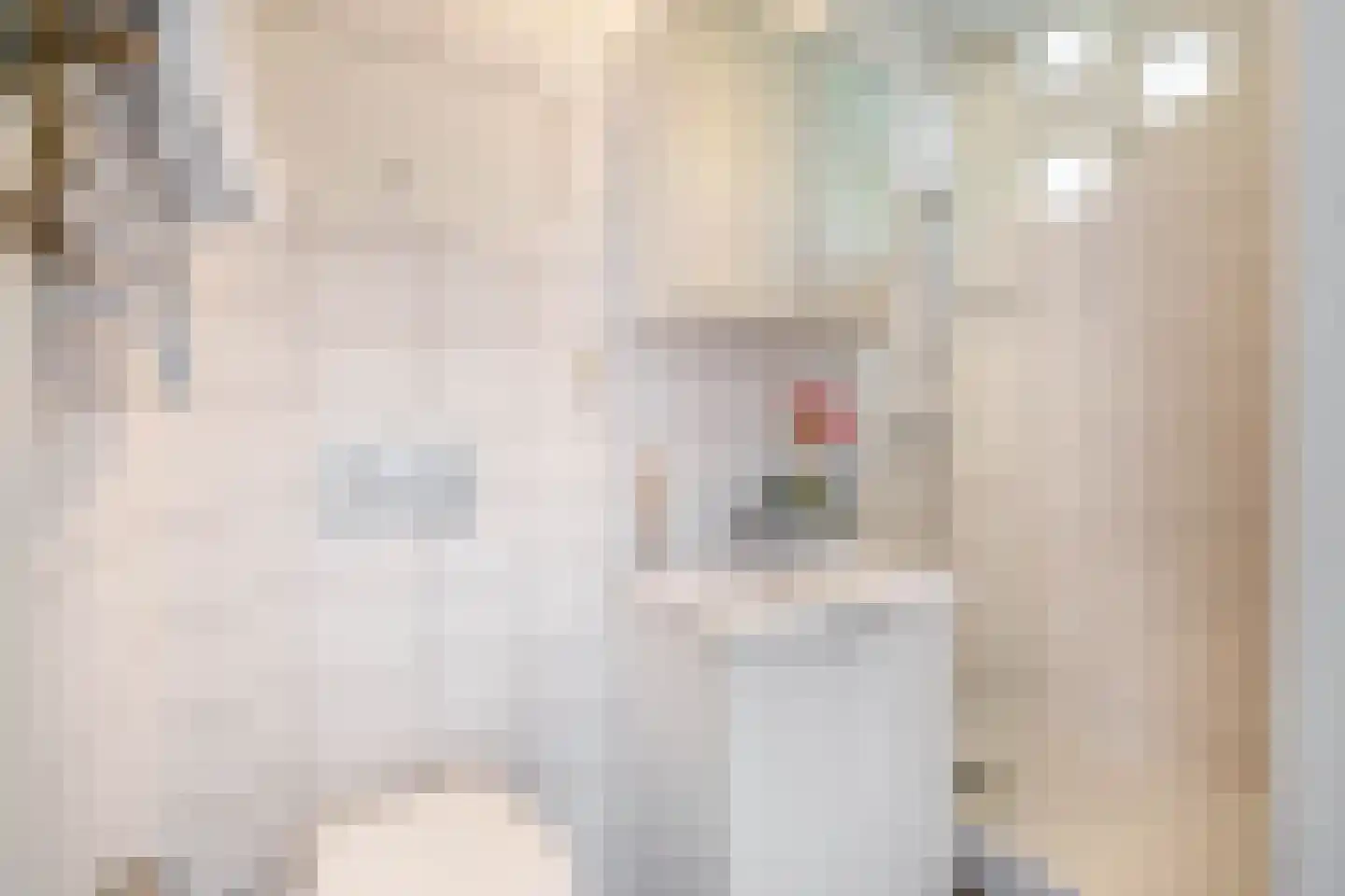 Heemraadssingel 281 B 02 Rotterdam thumbnail 5