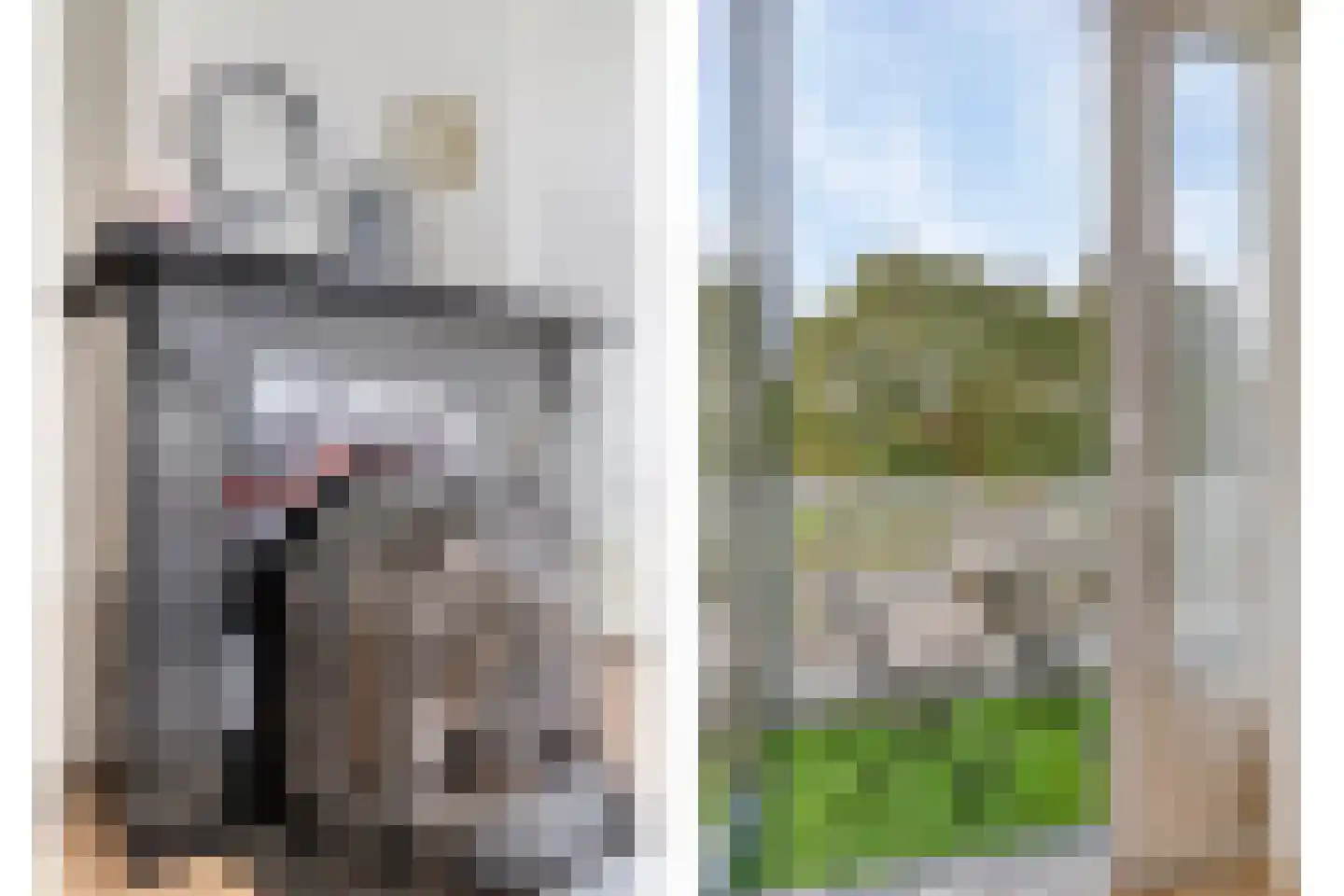 Heemraadssingel 284 A Rotterdam thumbnail 19