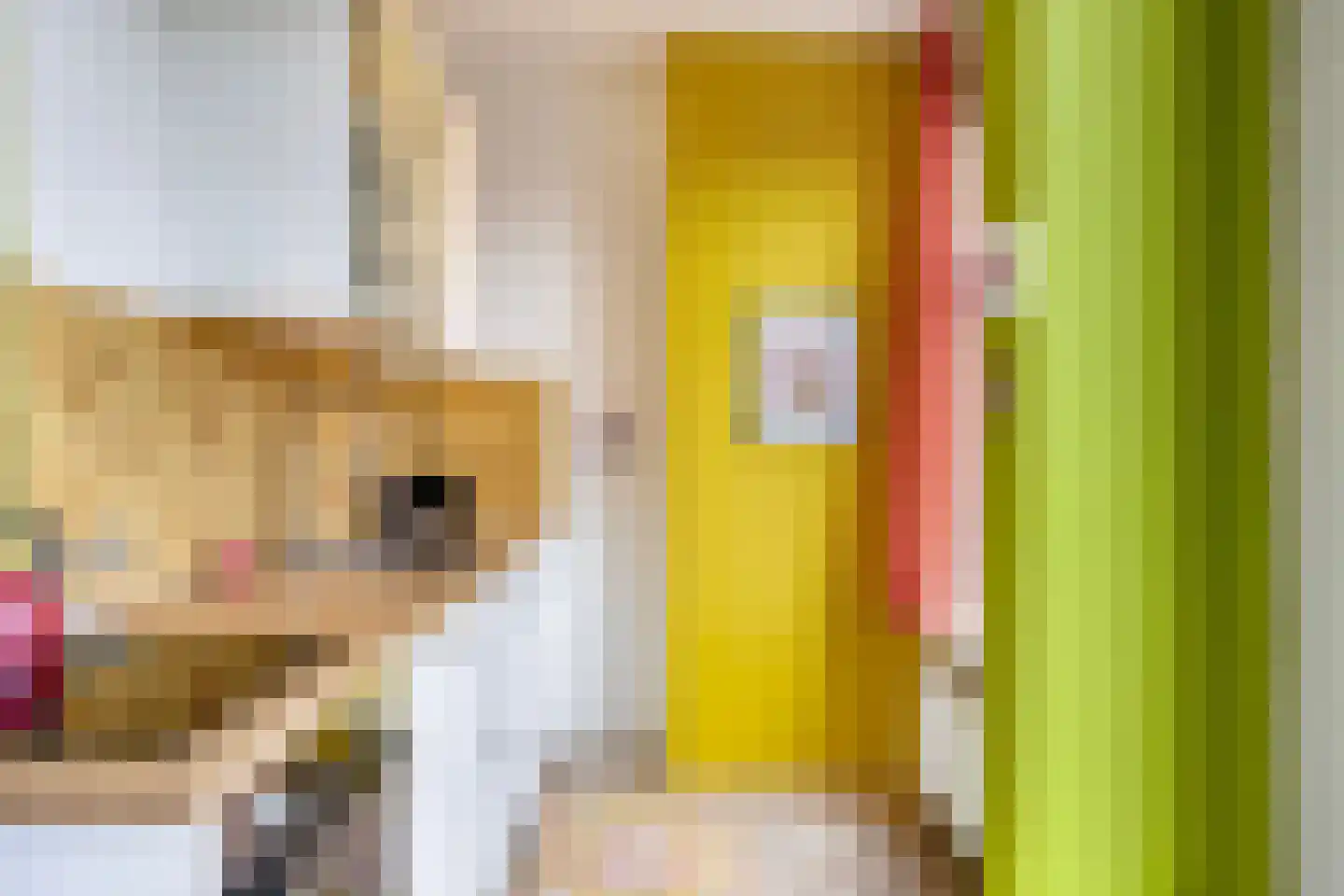 Heemraadssingel 284 A Rotterdam thumbnail 44