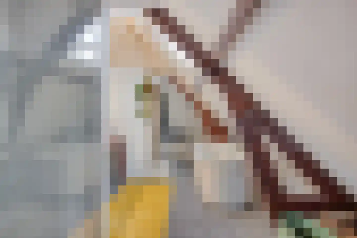 Heemraadssingel 284 A Rotterdam thumbnail 72