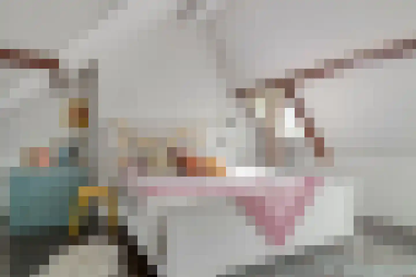 Heemraadssingel 284 A Rotterdam thumbnail 82