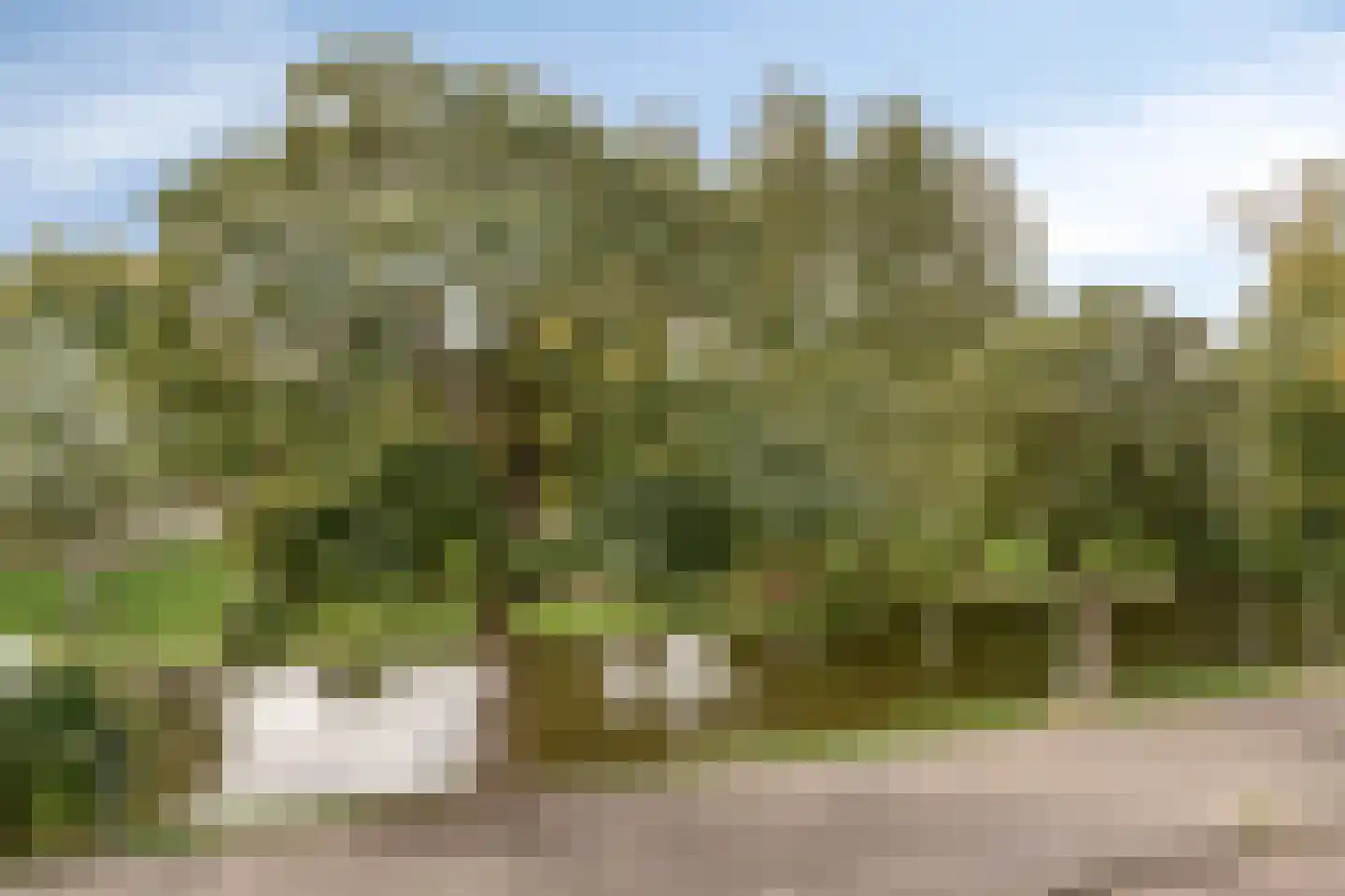 Heemraadssingel 284 A Rotterdam thumbnail 87