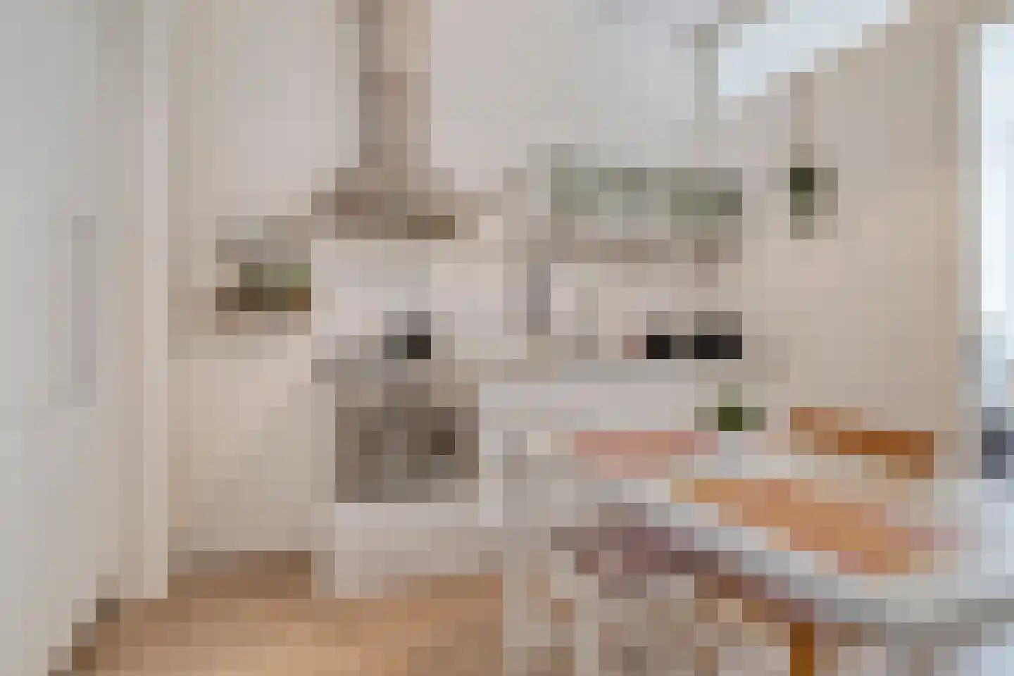 Heemraadssingel 284 B Rotterdam thumbnail 11