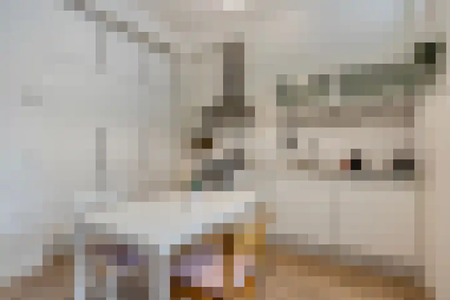 Heemraadssingel 284 B Rotterdam thumbnail 12
