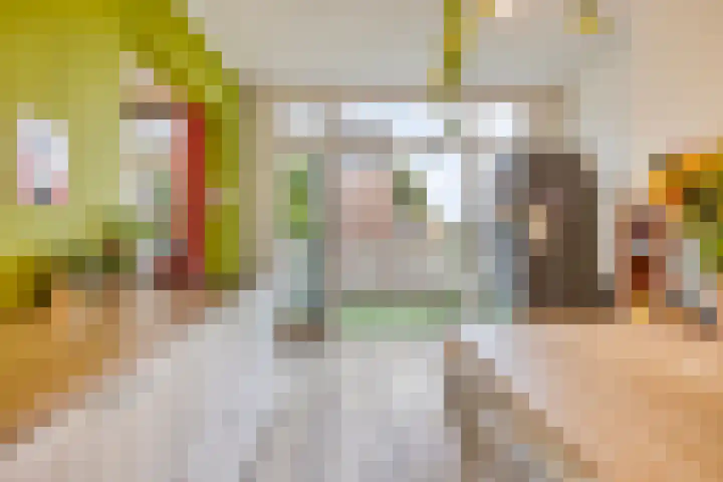 Heemraadssingel 284 B Rotterdam thumbnail 41