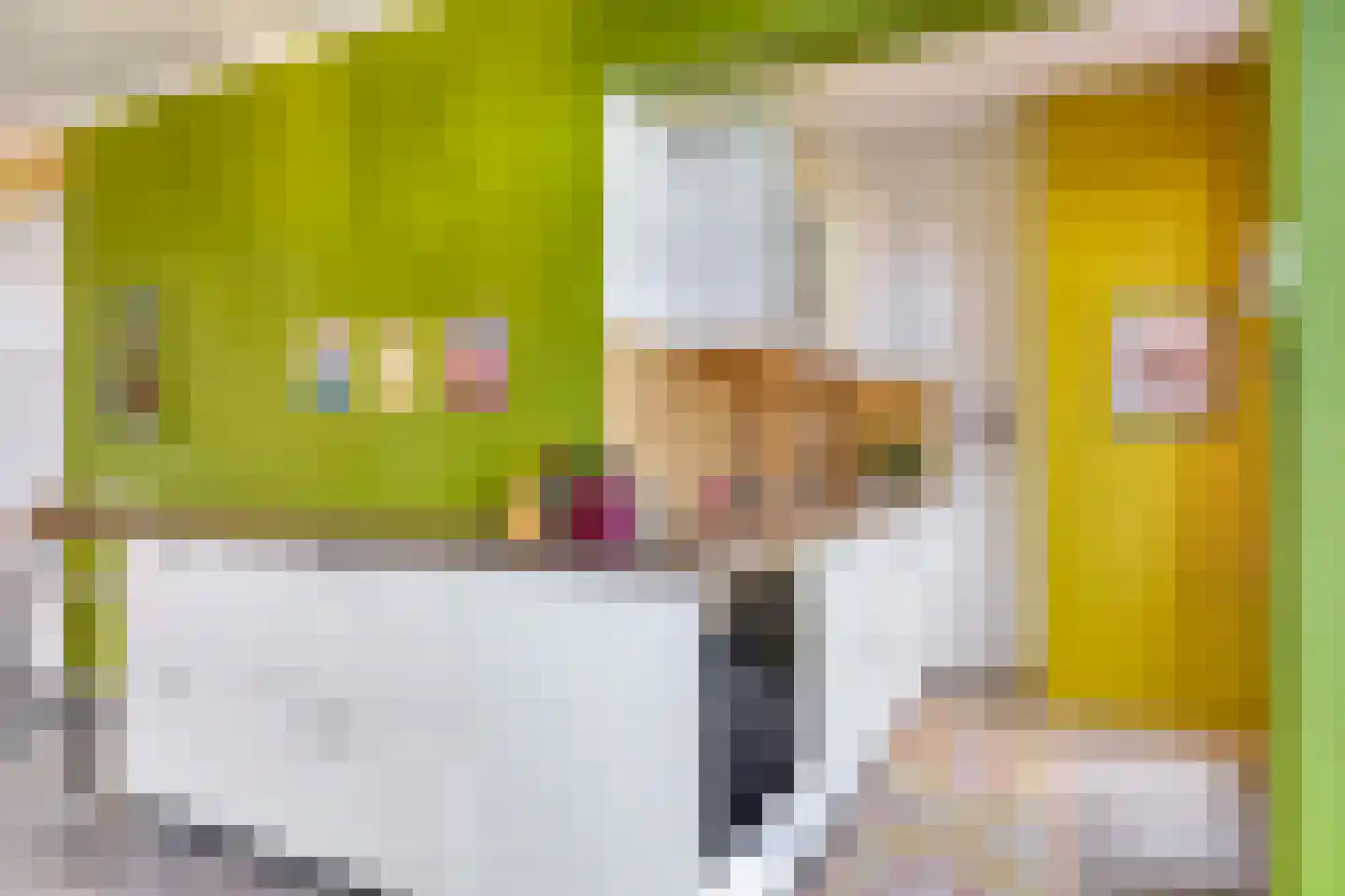 Heemraadssingel 284 B Rotterdam thumbnail 42