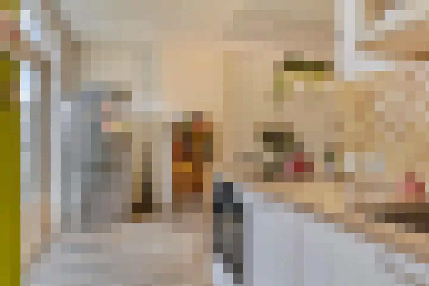 Heemraadssingel 284 B Rotterdam thumbnail 46