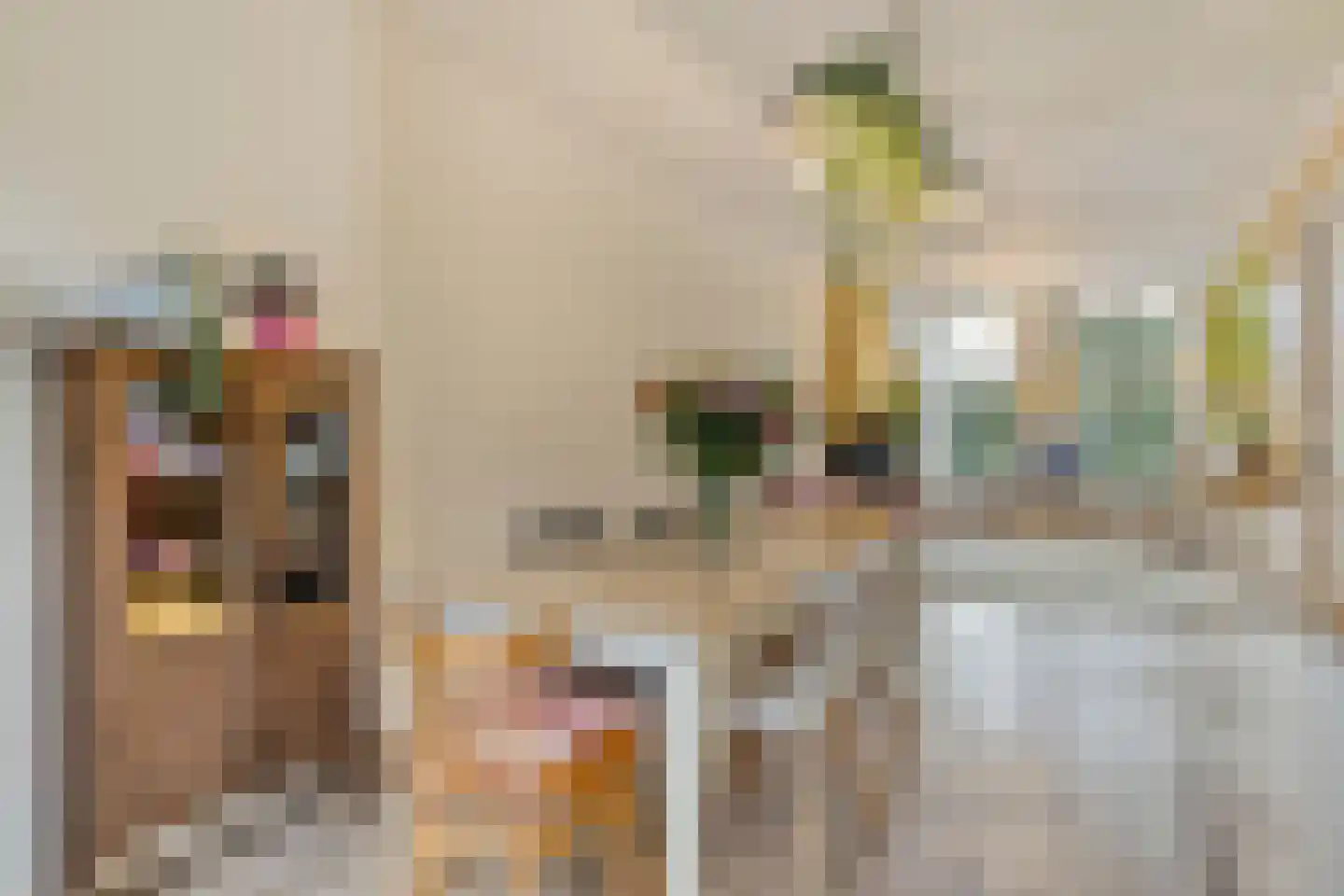 Heemraadssingel 284 B Rotterdam thumbnail 51