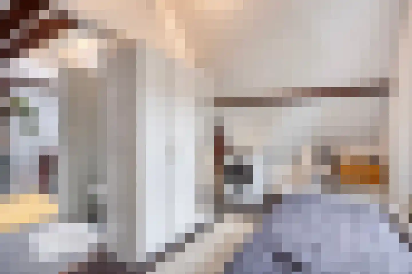 Heemraadssingel 284 B Rotterdam thumbnail 71