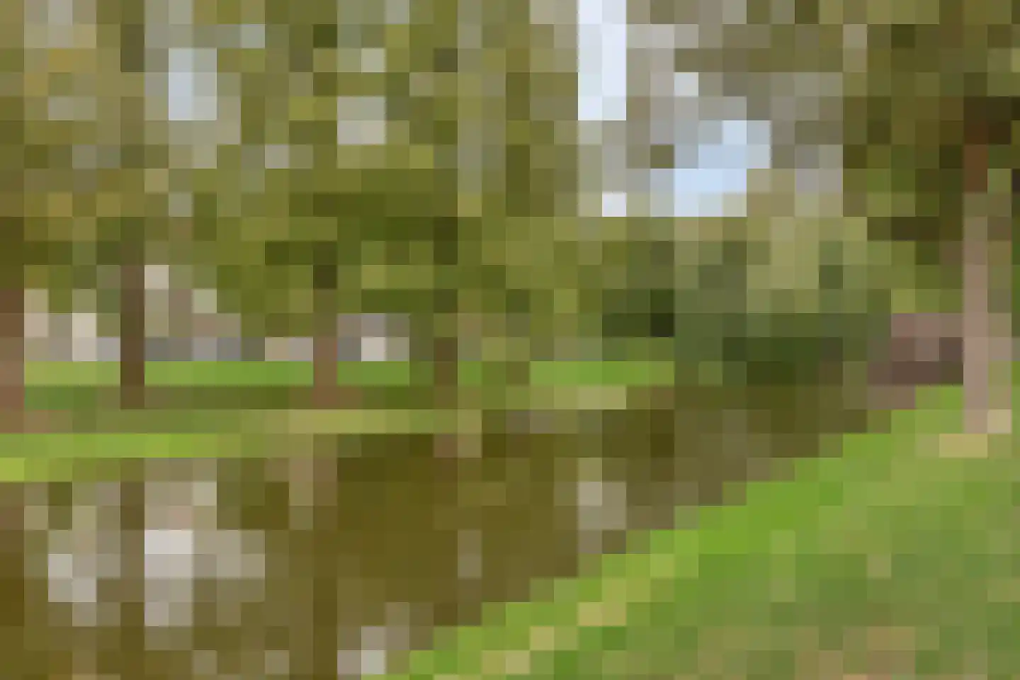 Heemraadssingel 284 B Rotterdam thumbnail 85