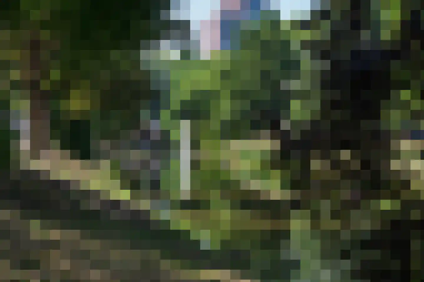 Heemraadssingel 286 B Rotterdam thumbnail 31