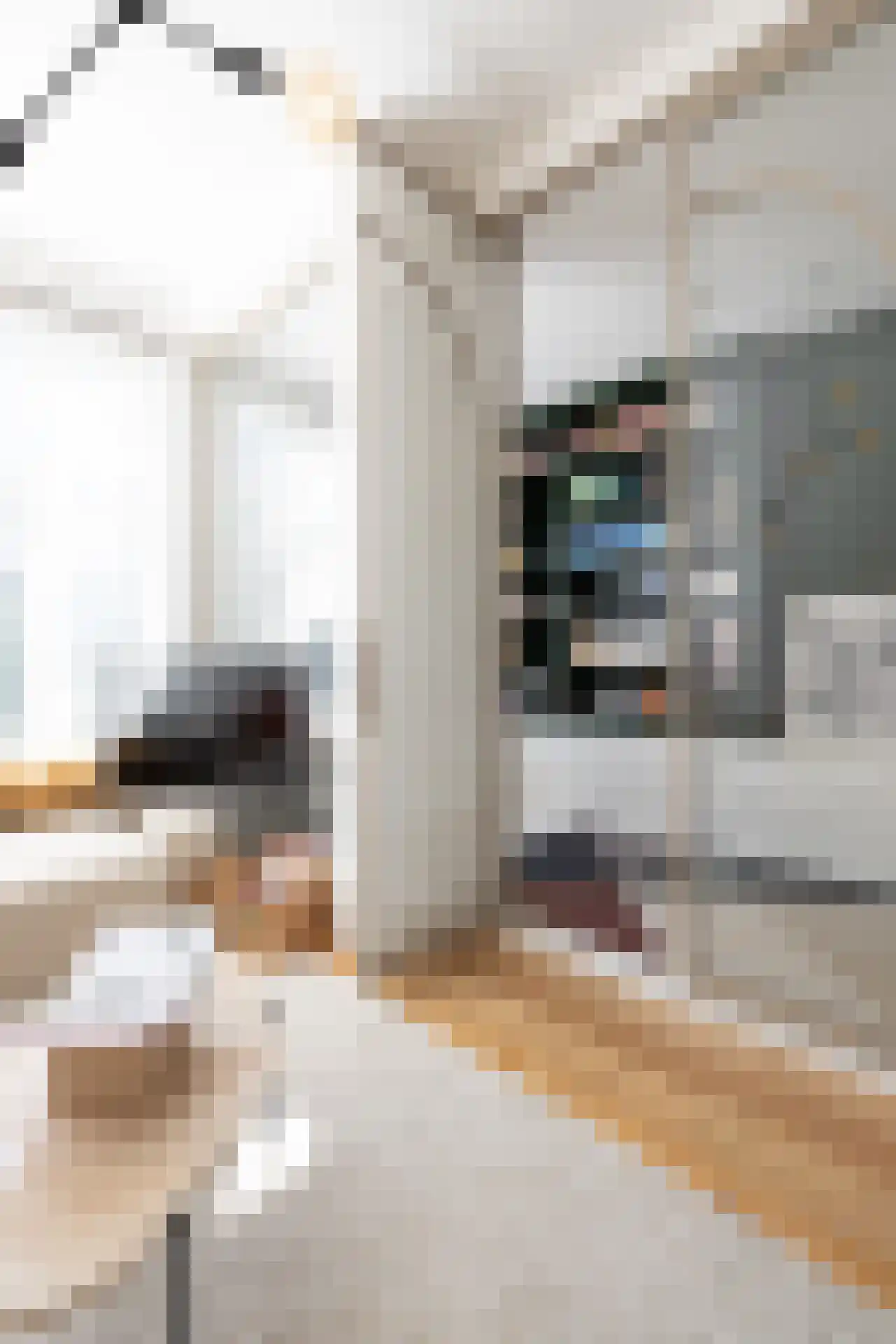 Heemraadssingel 288 A Rotterdam thumbnail 18