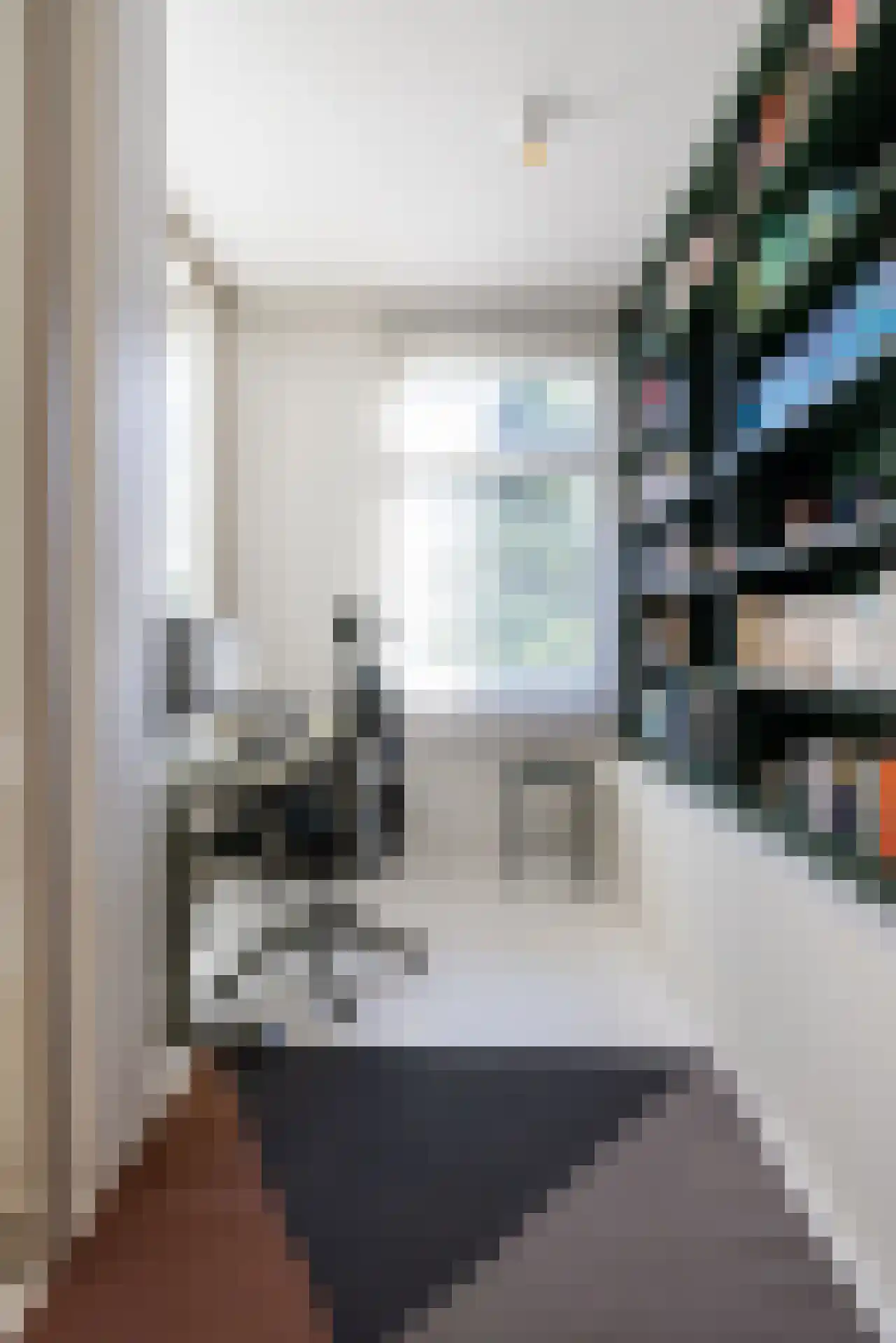 Heemraadssingel 288 A Rotterdam thumbnail 21