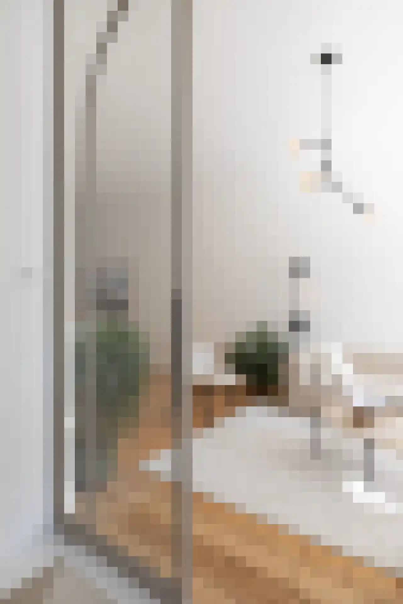 Heemraadssingel 288 A Rotterdam thumbnail 24