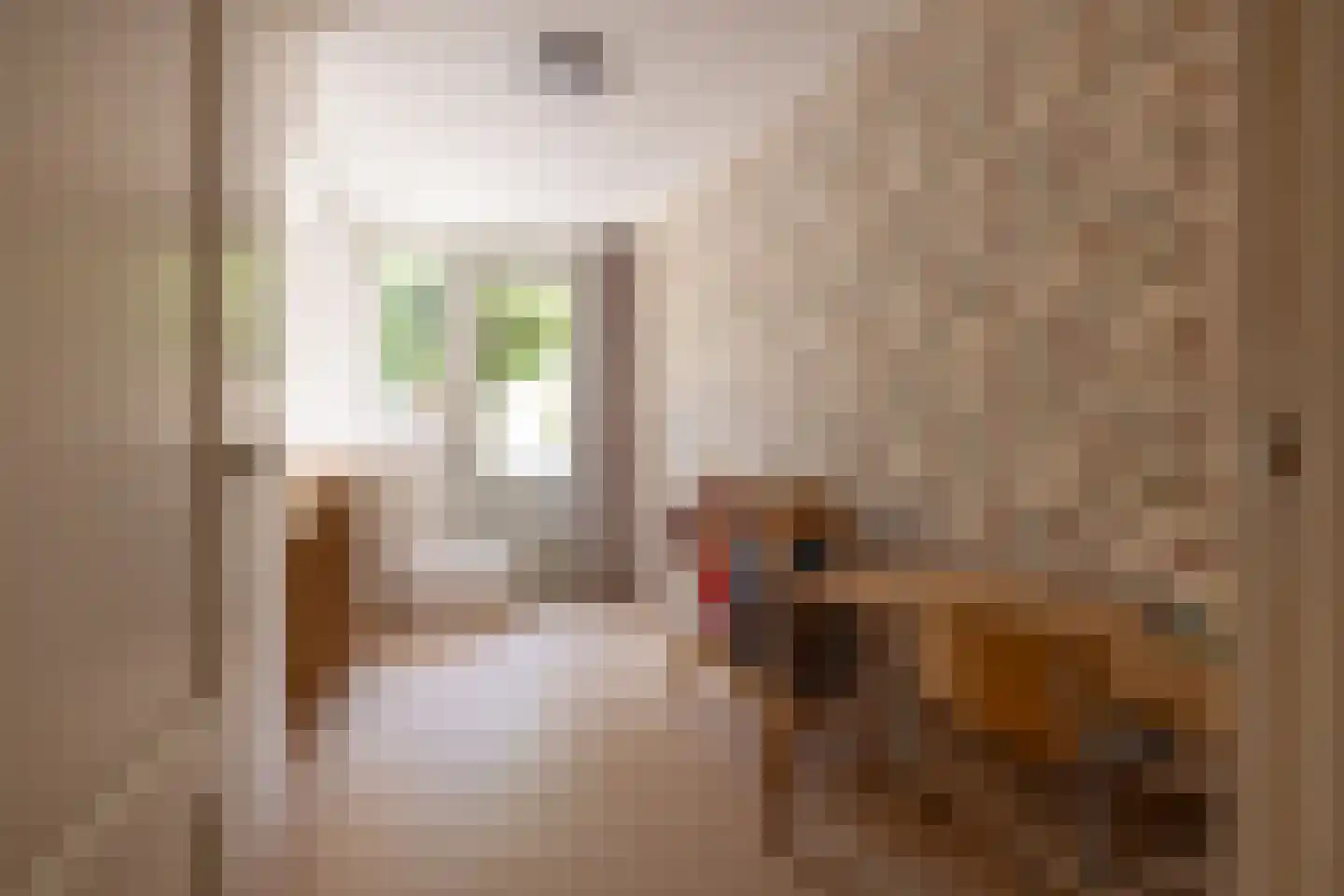 Heemraadssingel 288 A Rotterdam thumbnail 33