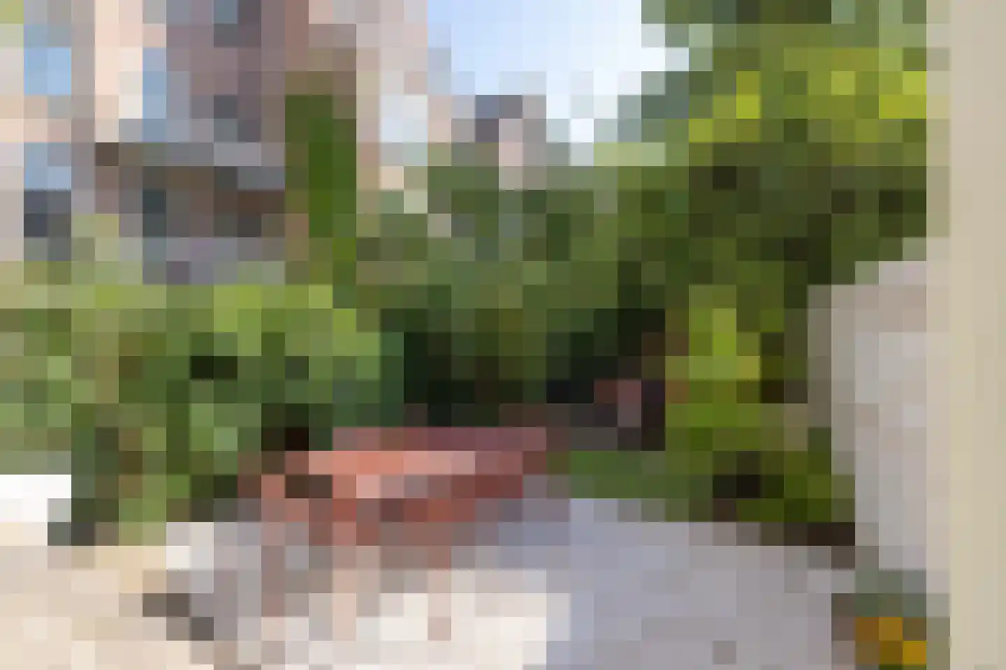 Heemraadssingel 288 A Rotterdam thumbnail 4
