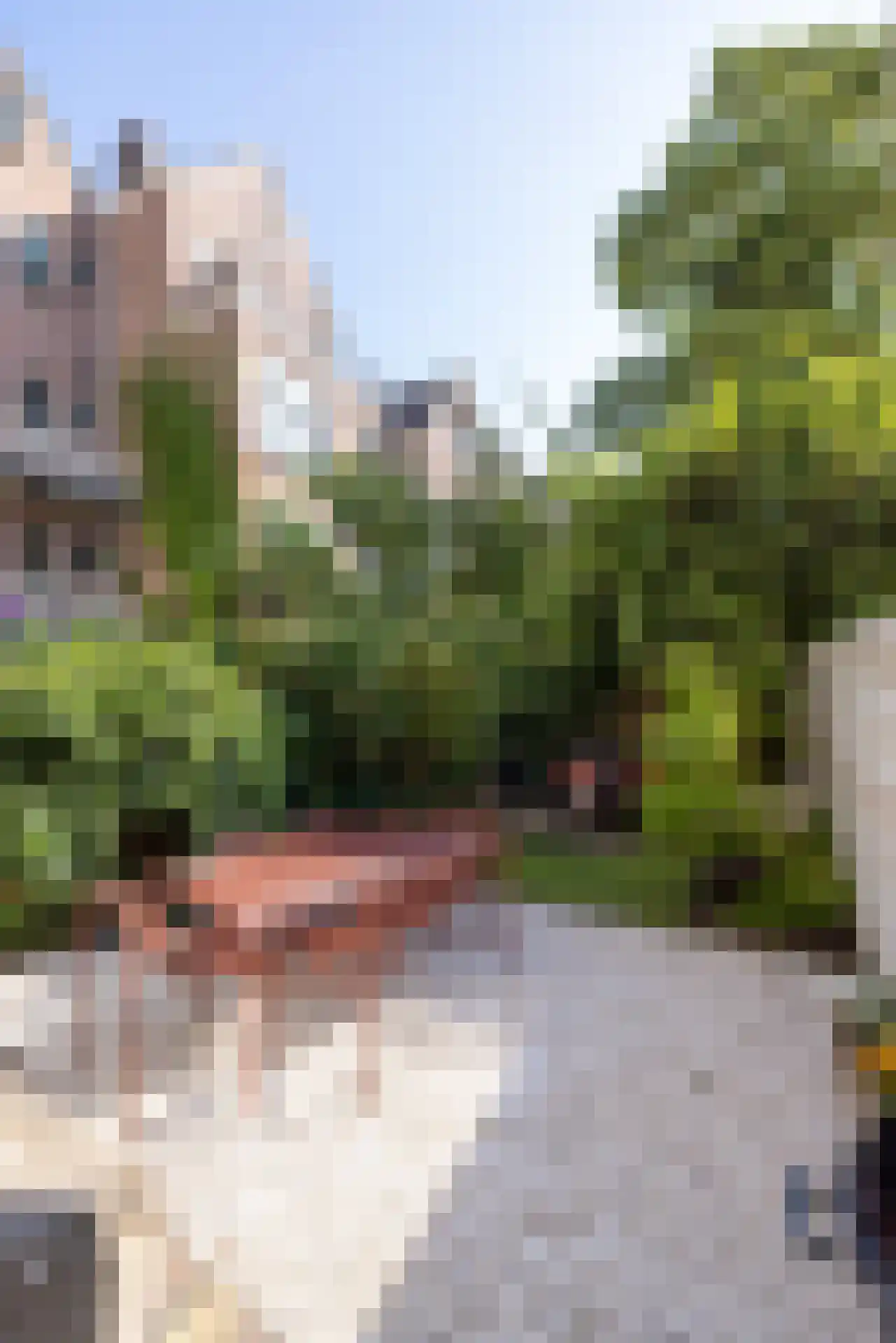 Heemraadssingel 288 A Rotterdam thumbnail 42