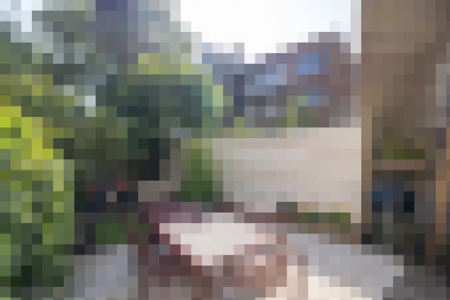 Heemraadssingel 288 A Rotterdam thumbnail 43