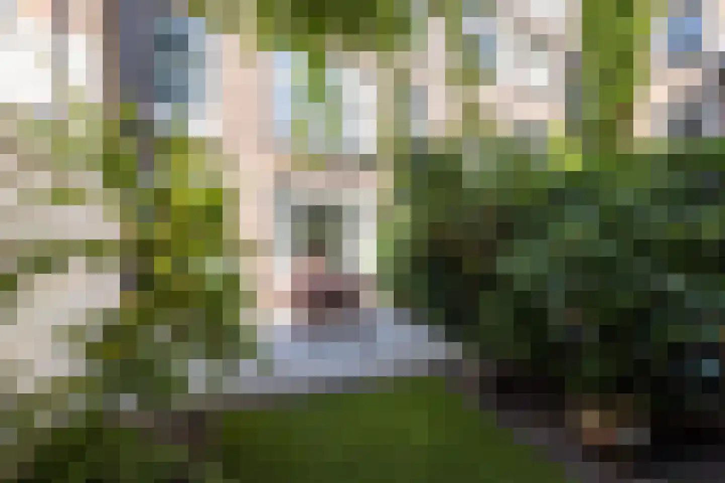 Heemraadssingel 288 A Rotterdam thumbnail 45